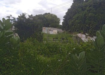 Cementerio de Santa Ana colapsó y luce lleno de maleza