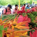 Feria de las calas en Arismendi promovió la actividad de los floricultores de las montañas del municipio