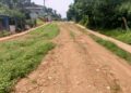 Voz comunitaria | En El Mirador de El Eneal en el municipio Bolívar se surten con agua de lluvia