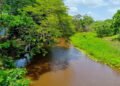 PC Freites: el río Guanipa mantiene el nivel de cota y no hay riesgos para comunidad de San Miguel