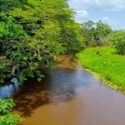 PC Freites: el río Guanipa mantiene el nivel de cota y no hay riesgos para comunidad de San Miguel
