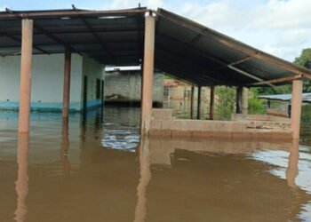 Autoridades están en "alerta máxima" por aumento de nivel del río Orinoco en Bolívar