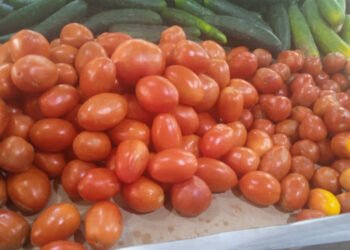 Clientes reportan que el precio del kilo de tomate "se disparó" y llegó a Bs. 300