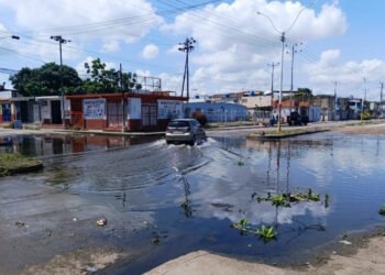 Voz comunitaria | Vecinos de Tronconal V piden limpieza para la laguna de oxidación