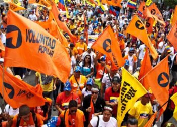 Oposición venezolana rechaza que la AN declarara 'persona non grata' a Volker Türk