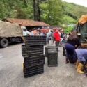 Agricultores de Mérida luchan por salvar cosechas: retomarán distribución este fin de semana