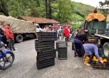 Agricultores de Mérida luchan por salvar cosechas: retomarán distribución este fin de semana