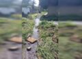 Voz comunitaria | En sector Brisas del Río piden sanear foco de contaminación