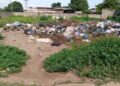 Basura y maleza abundan en terreno abandonado de Bello Monte