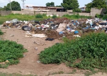 Basura y maleza abundan en terreno abandonado de Bello Monte