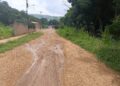 Voz Comunitaria | En Las Cayenas de Píritu solicitan culminación de la vialidad y la red de agua (+Video)