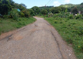Voz Comunitaria | Habitantes del sector El Mango de Píritu solicitan atención a las necesidades colectivas (+Video)