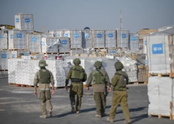 Más de 100 ONG revelan que Israel no les dejó entregar ni un camión de ayuda en Gaza