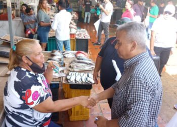 Excandidato: Soluciones aumentó su cantidad de votos y creció en organización en las municipales