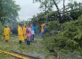 Caída de árboles, calles anegadas y apagones dejó fuerte lluvia en la zona metropolitana (+Fotos)
