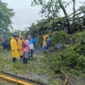 Caída de árboles, calles anegadas y apagones dejó fuerte lluvia en la zona metropolitana (+Fotos)