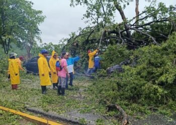 Caída de árboles, calles anegadas y apagones dejó fuerte lluvia en la zona metropolitana (+Fotos)