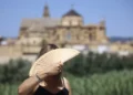 Ola de calor en España: nivel rojo en Andalucía, Cataluña y Valencia