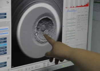 Graban por primera vez el proceso de implantación de un embrión humano en tiempo real