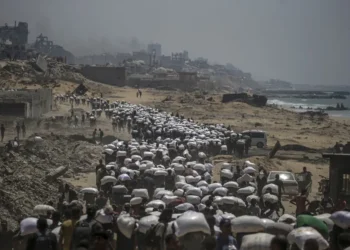 Al menos 44 muertos en ataques en Gaza, 22 de ellos buscando comida