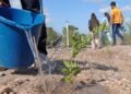 Plantaron 210 árboles en El Chaure