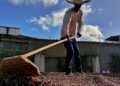 Foro empresarial busca promover potencialidades de Paria en materia de producción de cacao y café