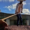 Foro empresarial busca promover potencialidades de Paria en materia de producción de cacao y café