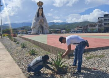 Iadamber plantó mil plantas ornamentales en el Monumento a la Virgen del Valle en Carúpano