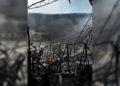 Incendio en Centro Empresarial Ciudad Real de Barcelona consumió dos de siete galpones