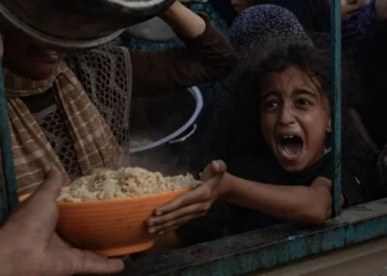 La ONU afirma que el tiempo para evitar la extensión de la hambruna en Gaza se está agotando