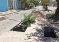 Voz comunitaria | Habitantes del sector tres de La Llanada en Cumaná piden arreglo para la vialidad