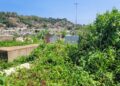 Piden atención “urgente” para el cementerio de Puerto La Cruz