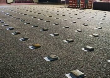 Venezuela ha incautado más de 1.000 kilos de droga y detenido a 984 personas en su frontera