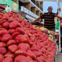 En Carúpano expendedores reportan que venden entre 8 y 10 mil kilos de fresas en una semana