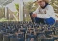 Alianza entre Asoprocave y dos alcaldías de Sucre busca consolidar la instalación de dos viveros de cacao