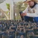 Alianza entre Asoprocave y dos alcaldías de Sucre busca consolidar la instalación de dos viveros de cacao