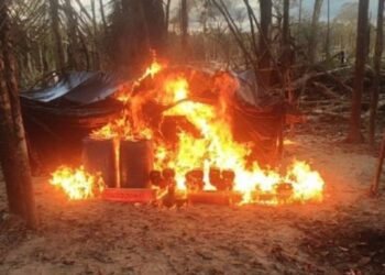 FANB destruye un campamento de minería ilegal en el sur del país