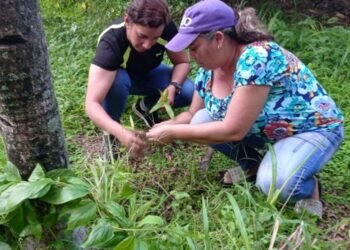 SUCRE | En alianza con entes públicos Fundación Prosperi inició en el municipio Benítez programa “Regreso al agua”