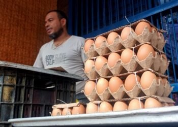 Sucre | El cartón de huevos se vende en el municipio Bermúdez por encima de los 1.200 bolívares
