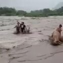 Pobladores de Mundo Nuevo: inundaciones causaron daños en sembradíos (+Video)