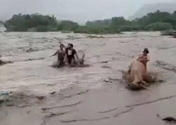 Pobladores de Mundo Nuevo: inundaciones causaron daños en sembradíos (+Video)