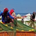 Zafra de sardina en Guaca entra en su último trimestre con números favorecedores para el sector pesquero (+Fotos)