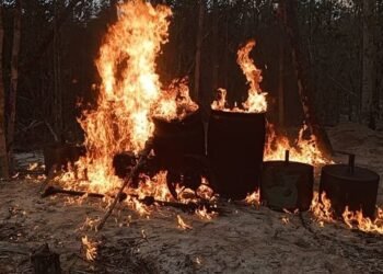 Fuerza Armada de Venezuela destruye un campamento de minería ilegal en región amazónica