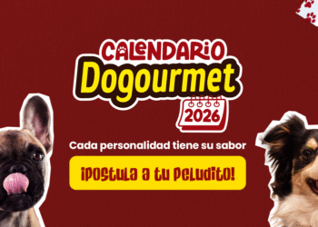 En el Calendario Dogourmet 2026 cada personalidad de los peluditos tiene un sabor
