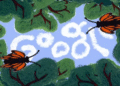 Google homenajea llegada de mariposa monarca a México tras migración de 7.700 kilómetros