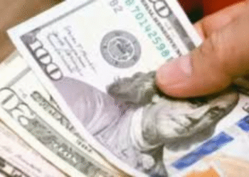 La moneda de Venezuela se devalúa un 8,8 % frente al dólar en noviembre