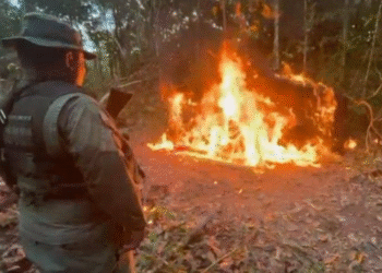 La Fuerza Armada de Venezuela destruye materiales de minería ilegal en el sur del país