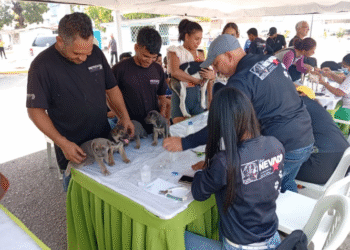 Misión Nevado sigue realizando jornadas de atención veterinarias gratuitas (+Fotos)