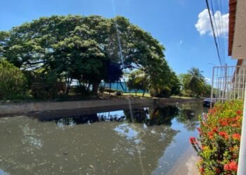 En El Moriche amanecieron con las cloacas desbordadas (+Fotos)