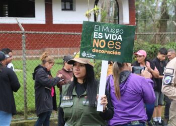Venezuela comienza una campaña para evitar la extracción y comercialización del musgo